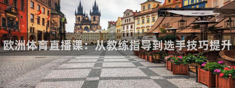 欧洲体育直播课：从教练指导到选手技巧提升