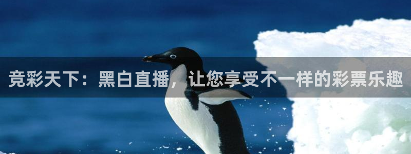 竞彩天下：黑白直播，让您享受不一样的彩票乐趣