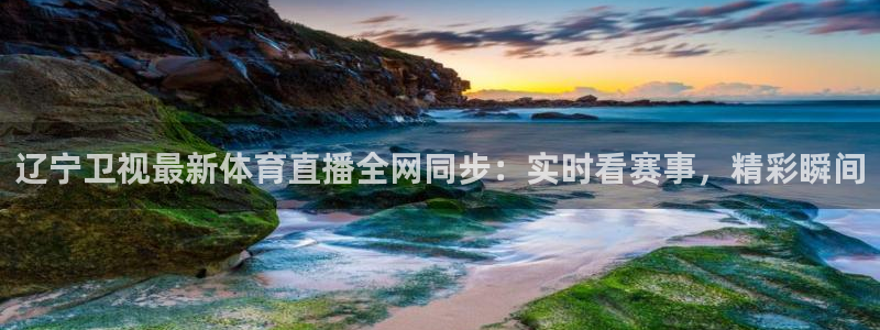 辽宁卫视最新体育直播全网同步：实时看赛事，精彩瞬间