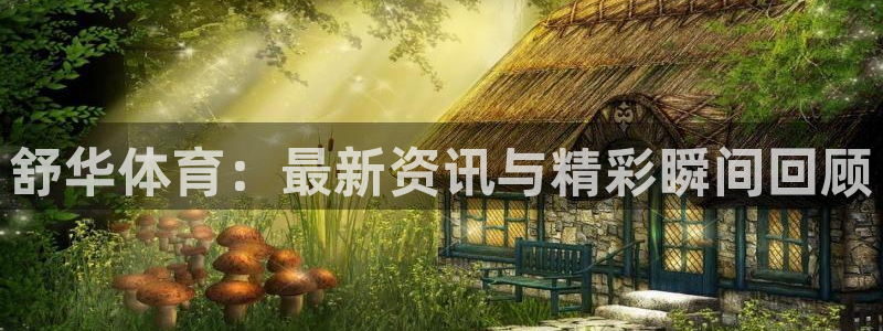 舒华体育：最新资讯与精彩瞬间回顾
