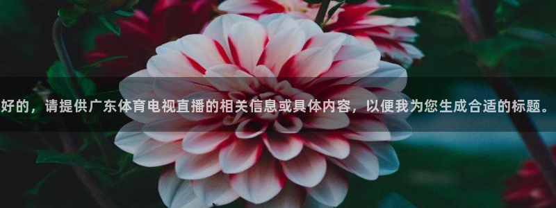 好的，请提供广东体育电视直播的相关信息或具体内容，以便我为您生成合适的标题。