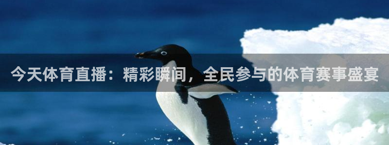 今天体育直播：精彩瞬间，全民参与的体育赛事盛宴