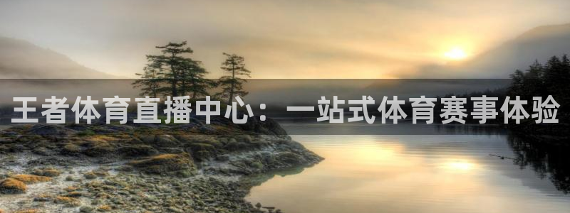 王者体育直播中心：一站式体育赛事体验