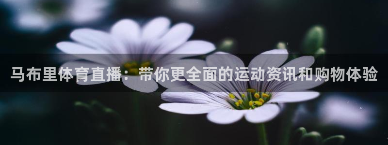 马布里体育直播：带你更全面的运动资讯和购物体验