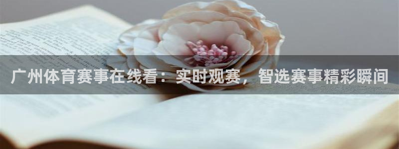 广州体育赛事在线看：实时观赛，智选赛事精彩瞬间