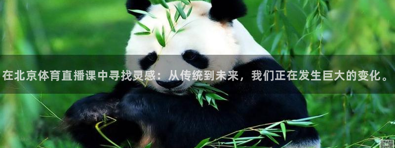 在北京体育直播课中寻找灵感：从传统到未来，我们正在发生巨大的变化。