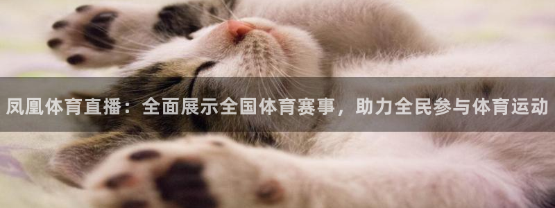 凤凰体育直播：全面展示全国体育赛事，助力全民参与体育运动