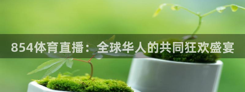 854体育直播：全球华人的共同狂欢盛宴