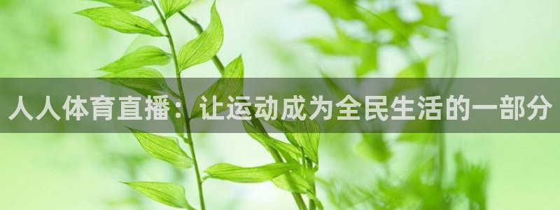 人人体育直播：让运动成为全民生活的一部分