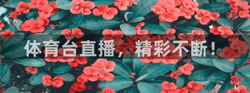 体育台直播，精彩不断！