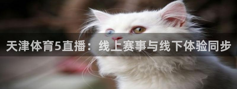 天津体育5直播：线上赛事与线下体验同步